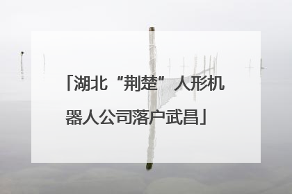 湖北“荆楚”人形机器人公司落户武昌