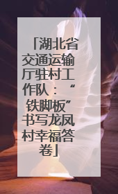 湖北省交通运输厅驻村工作队：“铁脚板”书写龙凤村幸福答卷