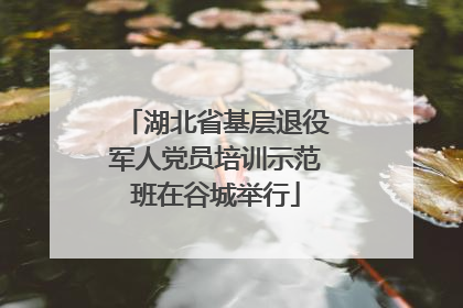 湖北省基层退役军人党员培训示范班在谷城举行
