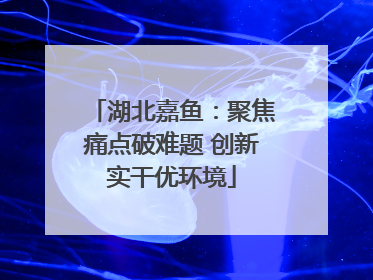 湖北嘉鱼：聚焦痛点破难题 创新实干优环境