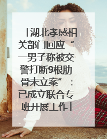 湖北孝感相关部门回应“一男子称被交警打断9根肋骨未立案”：已成立联合专班开展工作