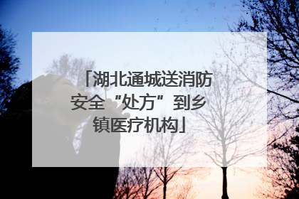 湖北通城送消防安全“处方”到乡镇医疗机构