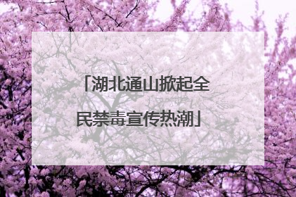 湖北通山掀起全民禁毒宣传热潮