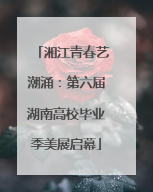 湘江青春艺潮涌：第六届湖南高校毕业季美展启幕