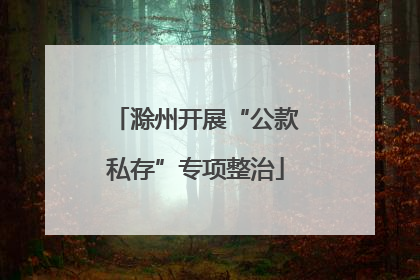 滁州开展“公款私存”专项整治