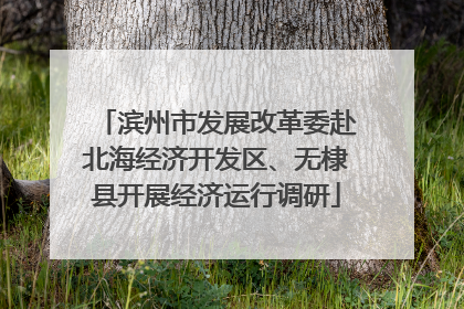 滨州市发展改革委赴北海经济开发区、无棣县开展经济运行调研