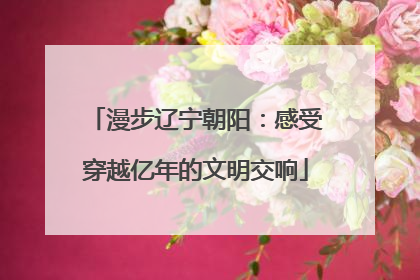 漫步辽宁朝阳：感受穿越亿年的文明交响