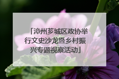 漳州芗城区政协举行文史沙龙暨乡村振兴专题视察活动