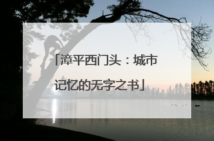 漳平西门头：城市记忆的无字之书