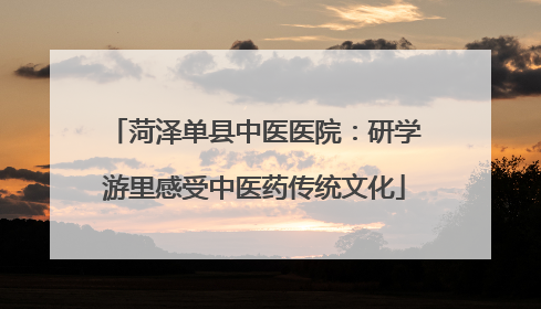 菏泽单县中医医院：研学游里感受中医药传统文化