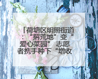 荷塘区明照街道：“撂荒地”变“爱心菜园” 志愿者携手种下“增收希望”