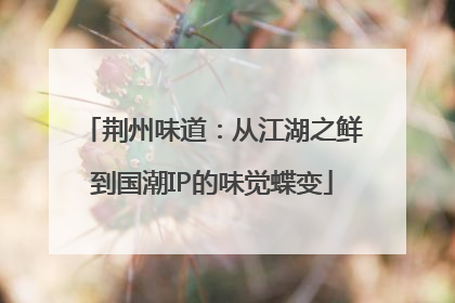 荆州味道：从江湖之鲜到国潮IP的味觉蝶变