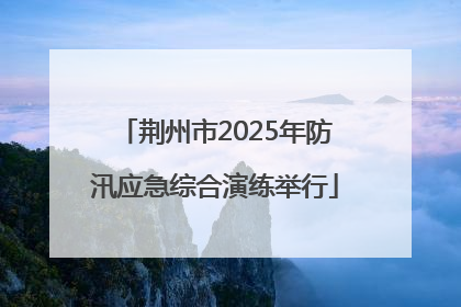 荆州市2025年防汛应急综合演练举行