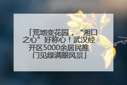 荒地变花园，“湘口之心”好称心！武汉经开区5000余居民推门见绿满眼风景