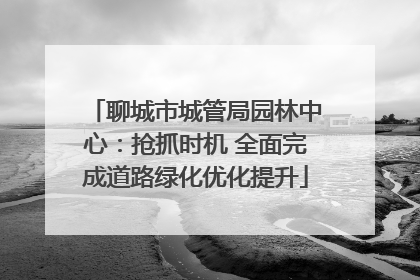 聊城市城管局园林中心：抢抓时机 全面完成道路绿化优化提升