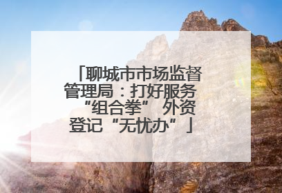 聊城市市场监督管理局：打好服务“组合拳” 外资登记“无忧办”