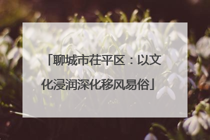 聊城市茌平区：以文化浸润深化移风易俗