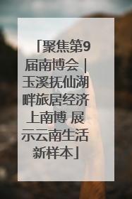 聚焦第9届南博会｜玉溪抚仙湖畔旅居经济上南博 展示云南生活新样本