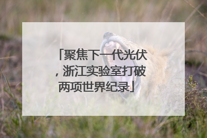 聚焦下一代光伏，浙江实验室打破两项世界纪录