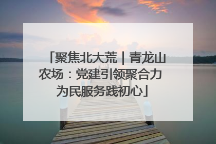 聚焦北大荒｜青龙山农场：党建引领聚合力 为民服务践初心