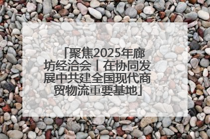 聚焦2025年廊坊经洽会丨在协同发展中共建全国现代商贸物流重要基地