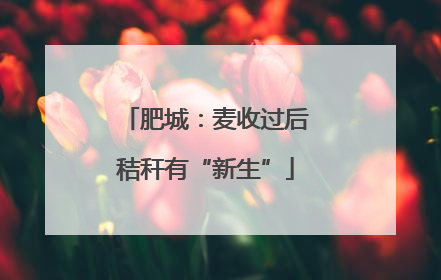 肥城：麦收过后秸秆有“新生”