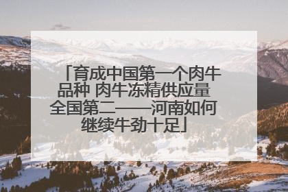 育成中国第一个肉牛品种 肉牛冻精供应量全国第二——河南如何继续牛劲十足