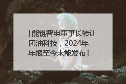 能链智电董事长转让团油科技，2024年年报至今未能发布