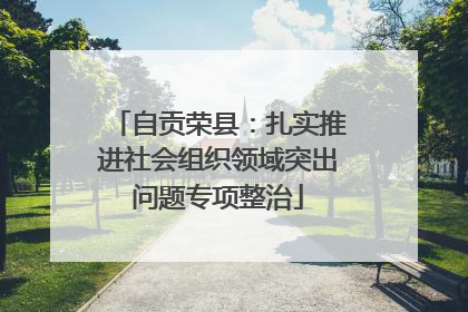 自贡荣县：扎实推进社会组织领域突出问题专项整治