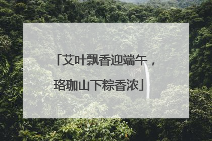 艾叶飘香迎端午，珞珈山下粽香浓