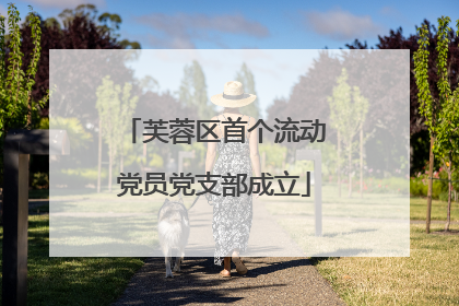 芙蓉区首个流动党员党支部成立