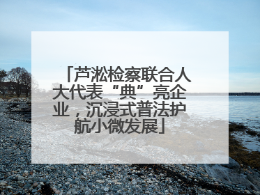 芦淞检察联合人大代表“典”亮企业，沉浸式普法护航小微发展