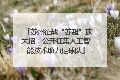 苏州征战“苏超”放大招：公开征集人工智能技术助力足球队