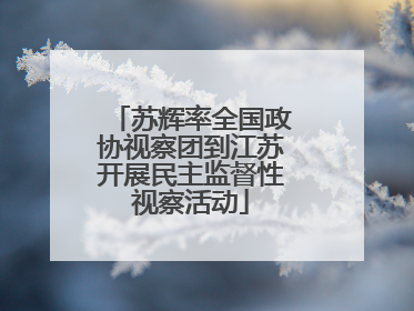苏辉率全国政协视察团到江苏开展民主监督性视察活动