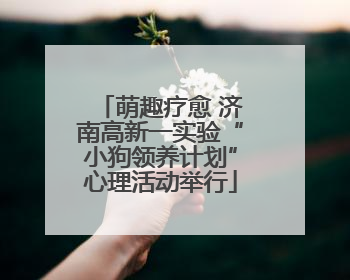 萌趣疗愈 济南高新一实验“小狗领养计划”心理活动举行