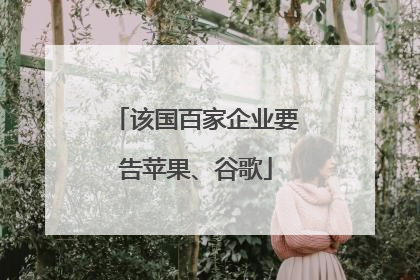 该国百家企业要告苹果、谷歌