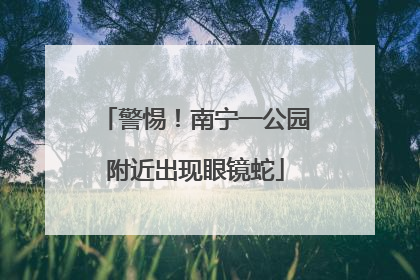 警惕！南宁一公园附近出现眼镜蛇
