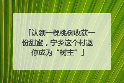认领一棵桃树收获一份甜蜜，宁乡这个村邀你成为“树主”