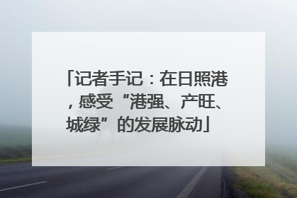 记者手记：在日照港，感受“港强、产旺、城绿”的发展脉动