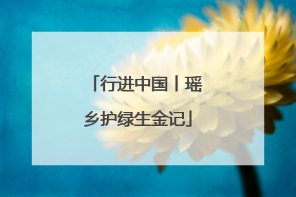 行进中国丨瑶乡护绿生金记