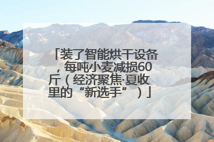 装了智能烘干设备，每吨小麦减损60斤（经济聚焦·夏收里的“新选手”）