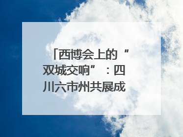 西博会上的“双城交响”：四川六市州共展成渝协同发展画卷｜西博视界