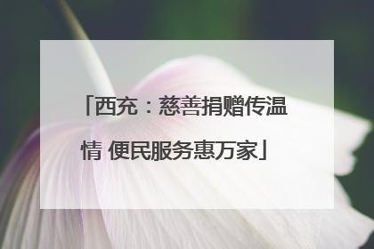 西充：慈善捐赠传温情 便民服务惠万家