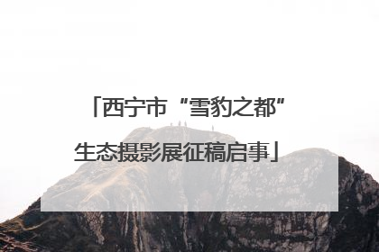 西宁市“雪豹之都”生态摄影展征稿启事
