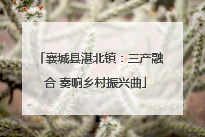 襄城县湛北镇：三产融合 奏响乡村振兴曲