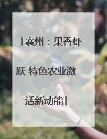 襄州：果香虾跃 特色农业激活新动能