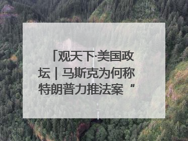 观天下·美国政坛｜马斯克为何称特朗普力推法案“令人作呕”