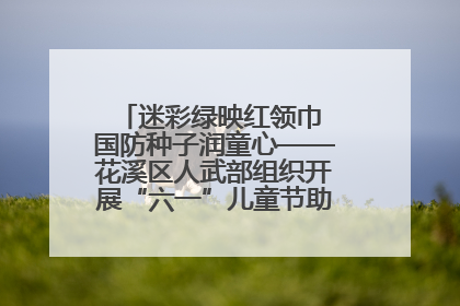 迷彩绿映红领巾 国防种子润童心——花溪区人武部组织开展“六一”儿童节助学兴教活动