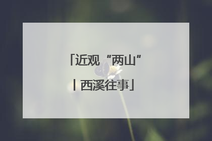 近观“两山”丨西溪往事