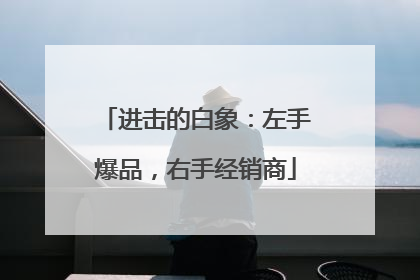 进击的白象：左手爆品，右手经销商